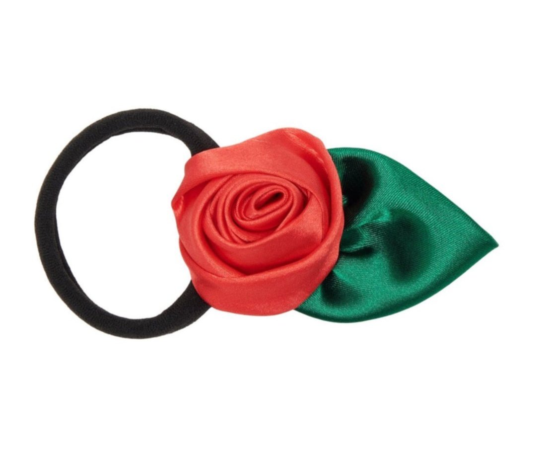 Aurora Elastic