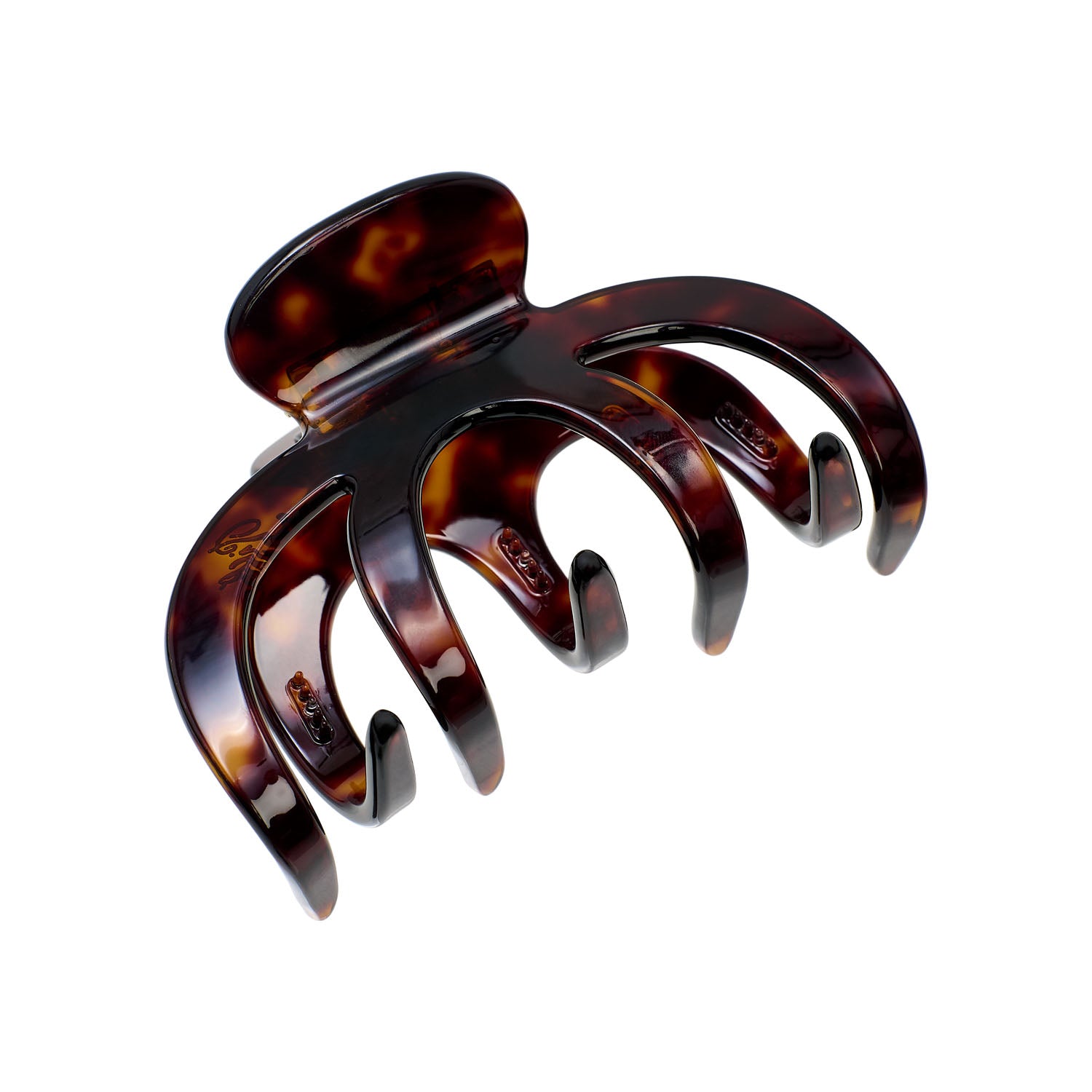 Grand Alberte Claw