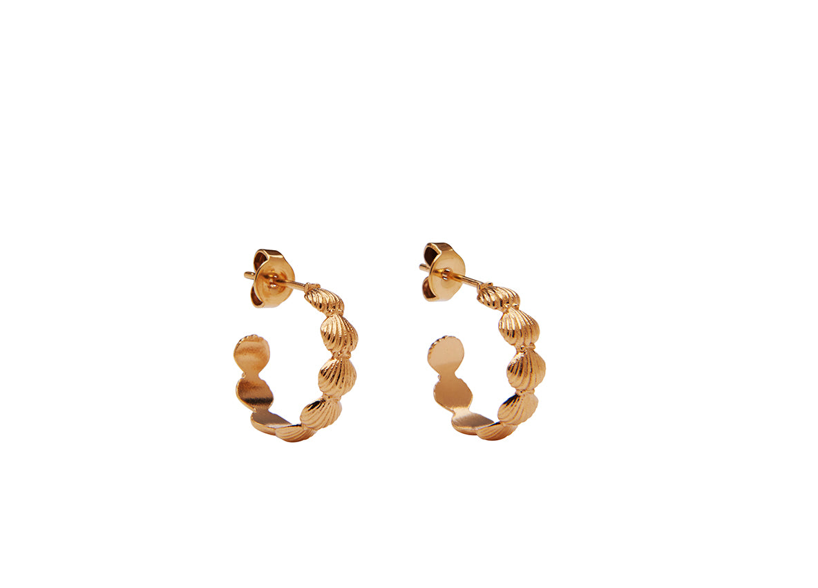 Coquille Studs