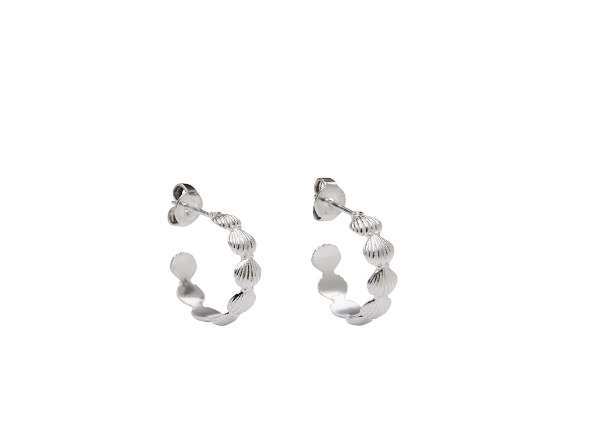 Coquille Studs
