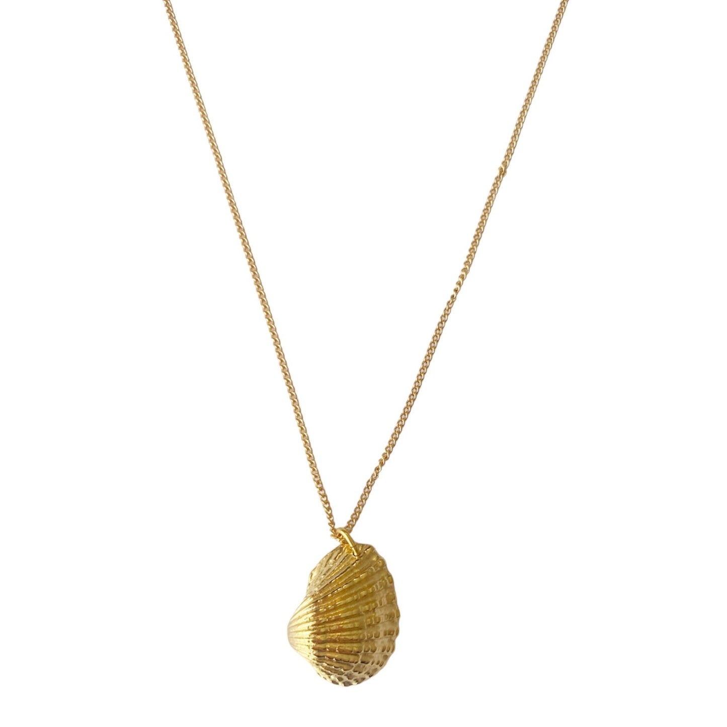 Heart Shell Necklace