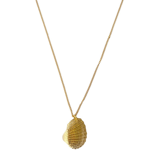 Heart Shell Necklace