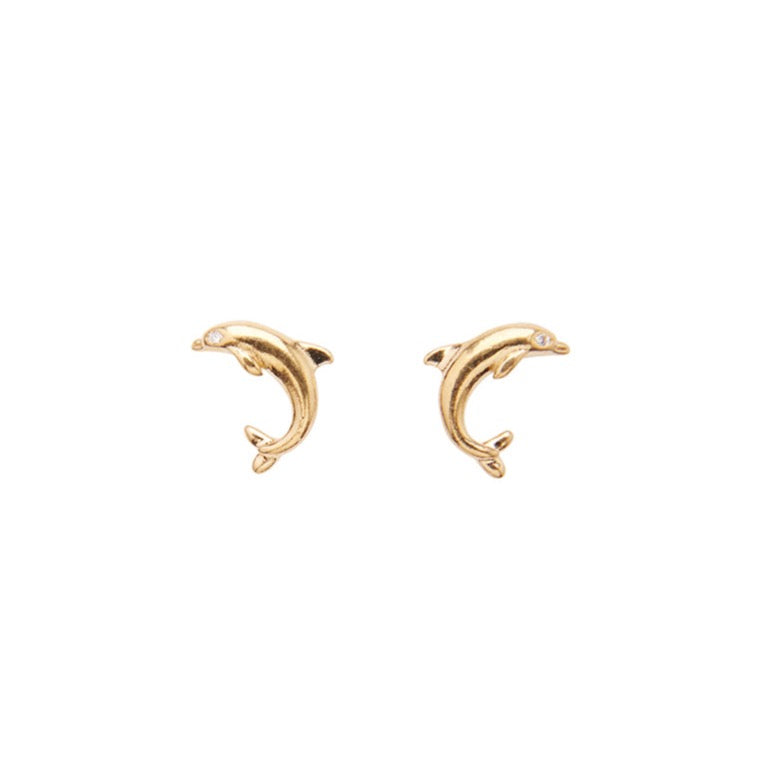 Dolphin Studs