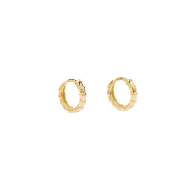 Rio Hoops
