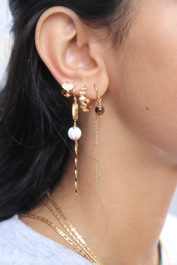 Coquille Studs