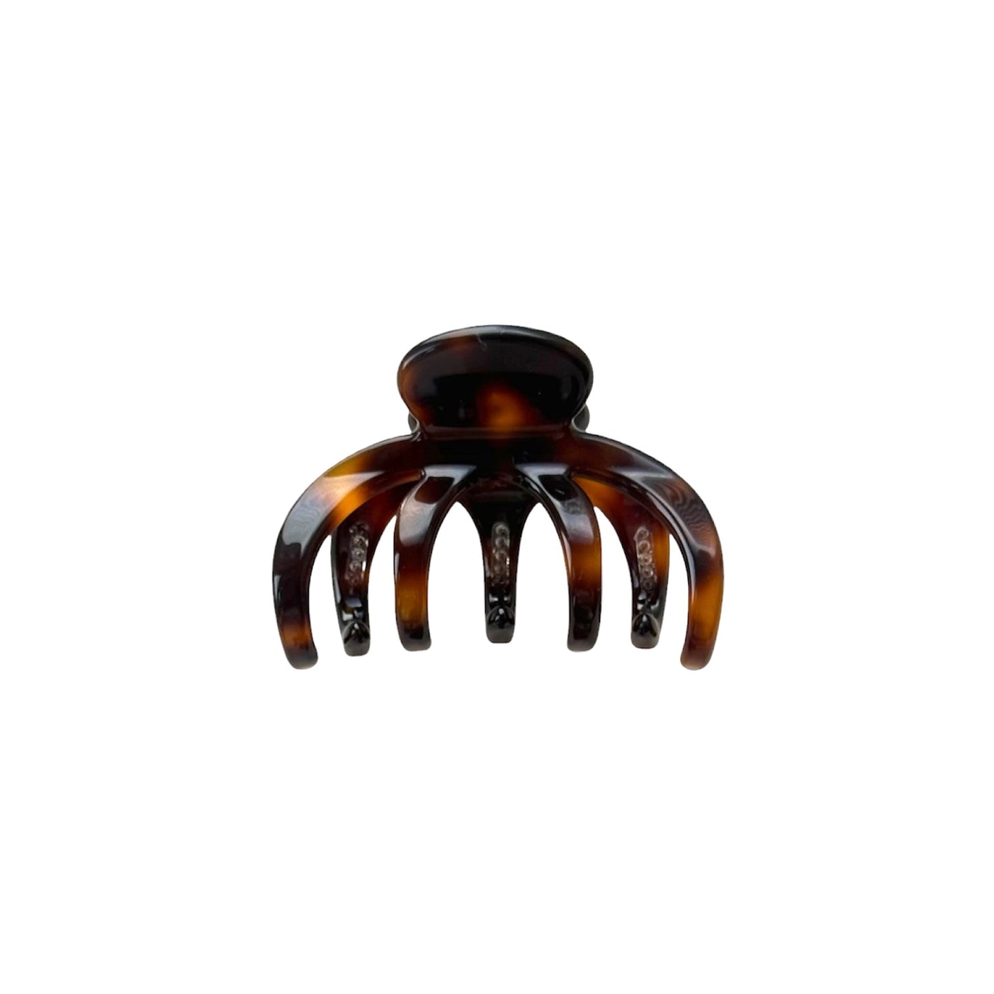 Alberte Claw