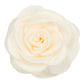 Small Satin Rose Claw