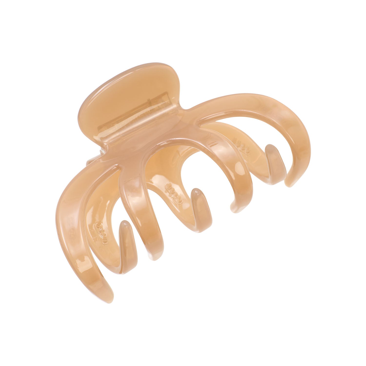 Grand Alberte Claw