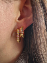 Alba crystal earrings