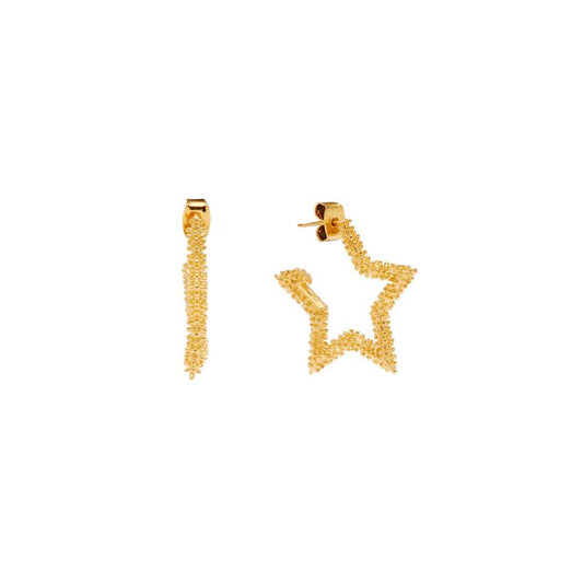 Etoile Petit Studs