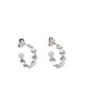 Coquille Studs