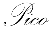Picocopenhagen logo