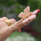 Small Butterfly Claw