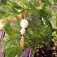 Lucette Earring