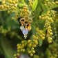 Joyce Earring