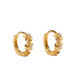 Aster Hoops