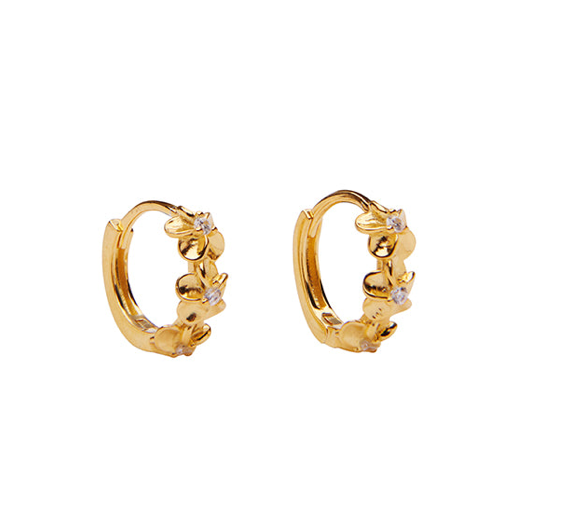 Aster Hoops