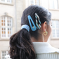 Click Hair Clip